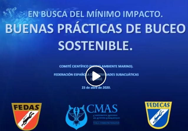 Ciclo de charlas del Comit&eacute; Cient&iacute;fico de FEDAS